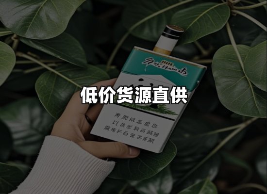 专业优势